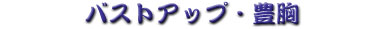�o�X�g�A�b�v
